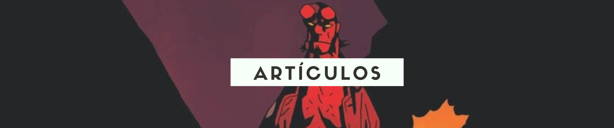 (RE) SEÑAS PARTICULARES (3)